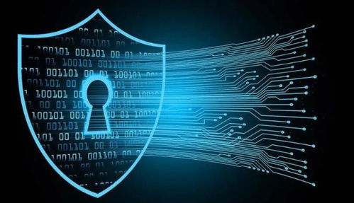 信息系統(tǒng)集成服務(wù)中的個(gè)人信息自決權(quán) 民法典第111條的視角